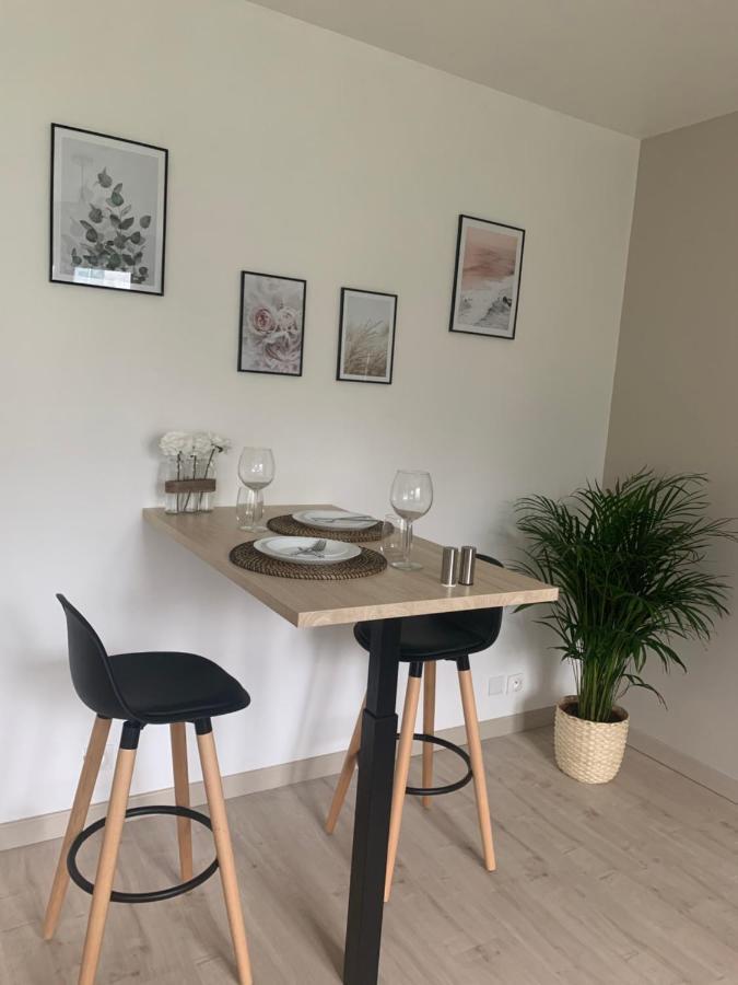Studio 30M2 - Au Pied De La Gare - Parking 塞尔吉 外观 照片